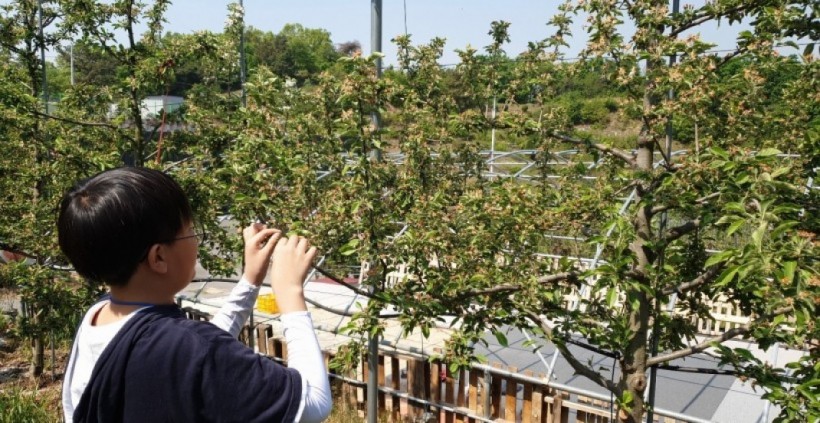 5d162afd351557f881ee5ad00d7cf7d0_1557885