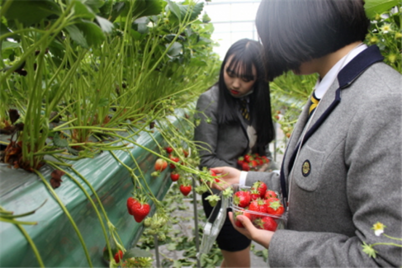 0e90659c2c65ff8961794539e7b78b80_1562218