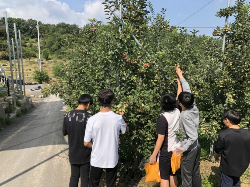 3153503a2bc0c66034c10f66b4fb4ded_1569828