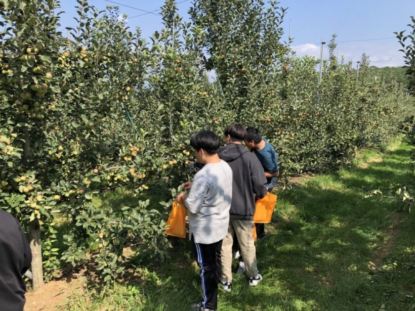 3153503a2bc0c66034c10f66b4fb4ded_1569828