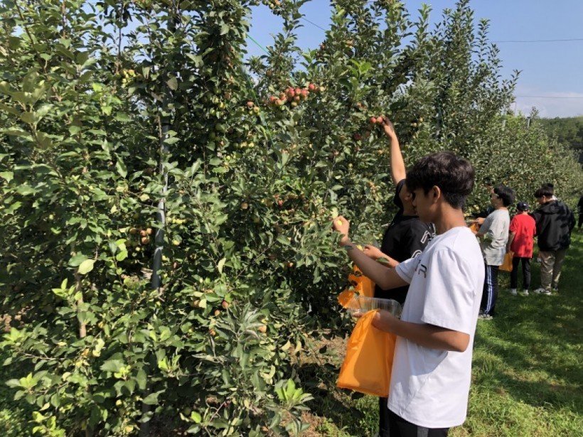 3153503a2bc0c66034c10f66b4fb4ded_1569828