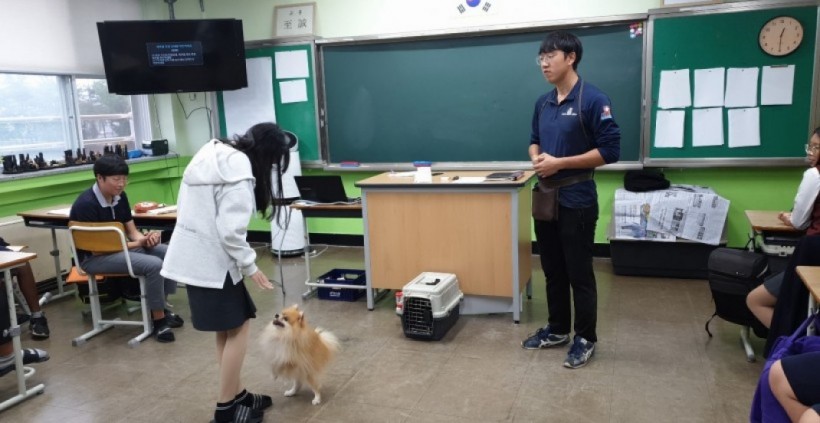 eec428afabf037aedeecabfd5f5acf01_1570496