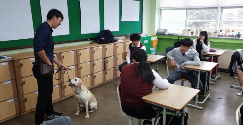 eec428afabf037aedeecabfd5f5acf01_1570496