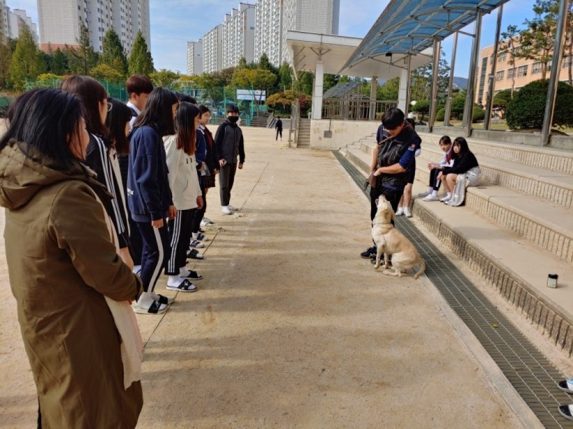 809c9728427b57f62716e8cc245bda32_1573191