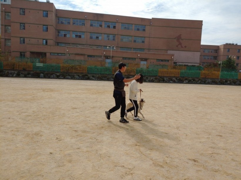 809c9728427b57f62716e8cc245bda32_1573191