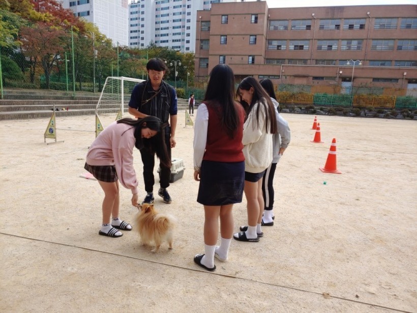 809c9728427b57f62716e8cc245bda32_1573191