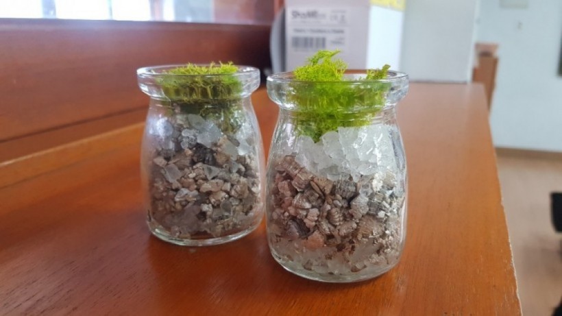 66c427b898ee568105066996227a269a_1579585