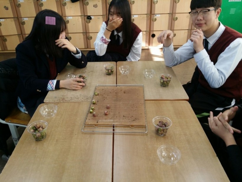 6d1e8f2cd29b43c379c9bce04b11343a_1579157