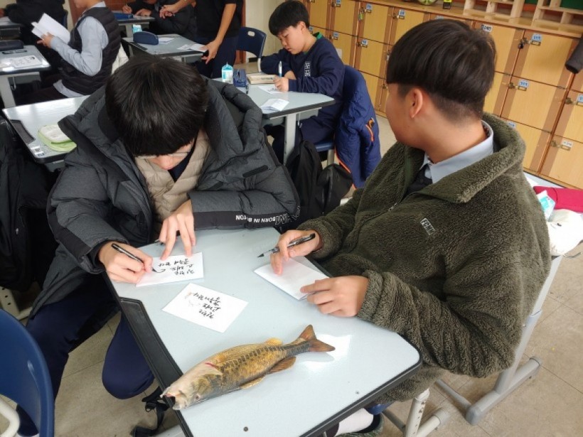 da942e912f436aa894c3fed4e2266740_1579501