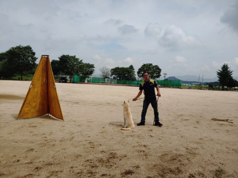 e93192b2a016c717d9260197ed2741af_1598243