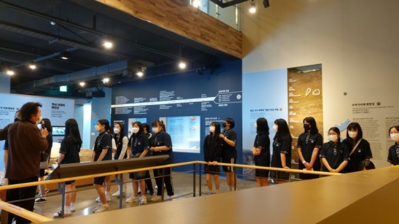 c81c0f6b3d3fbe2d1e36a141c8df5e40_1623902