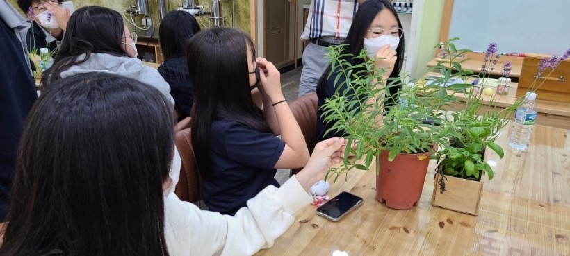 035045b3b3b6d327b1124d807a856b9b_1627265