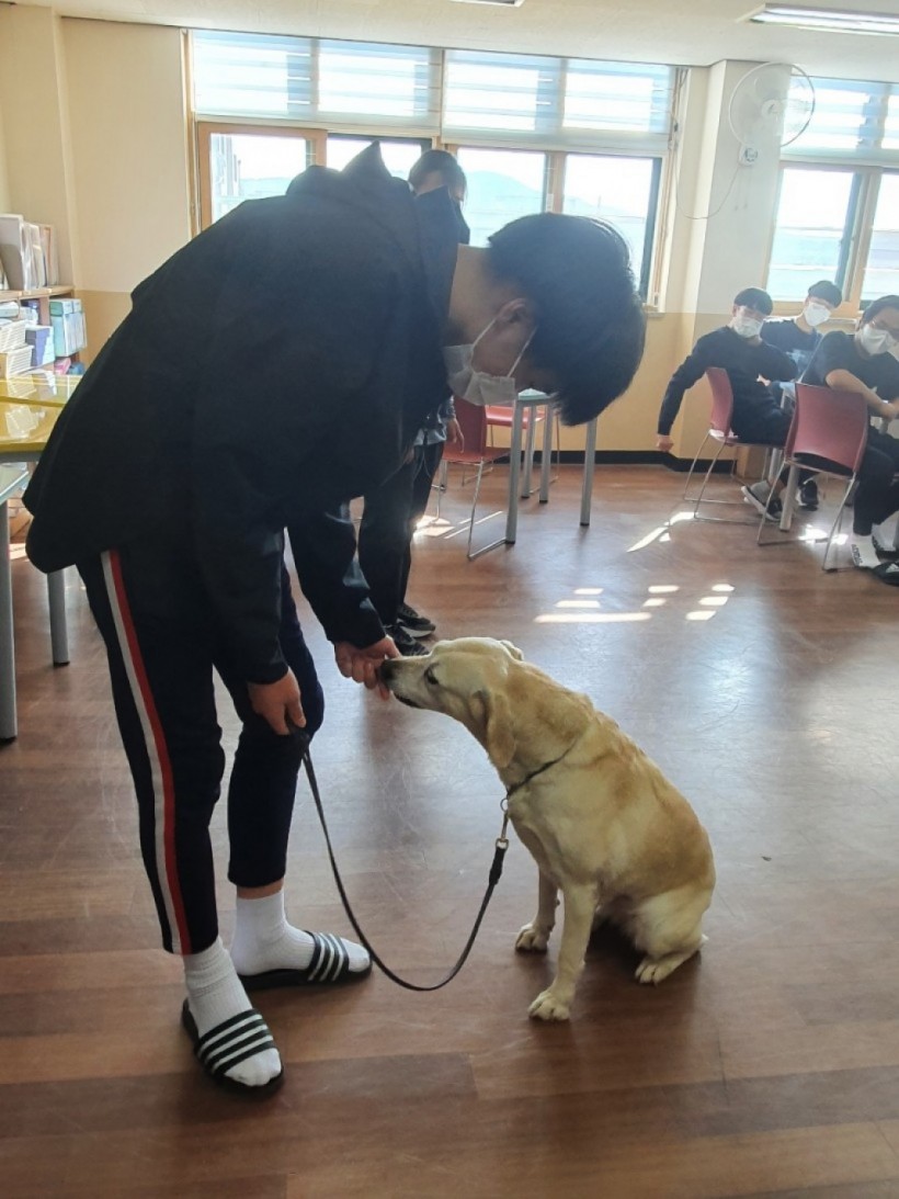 e5658d473582a820a5674071c557a86d_1636349