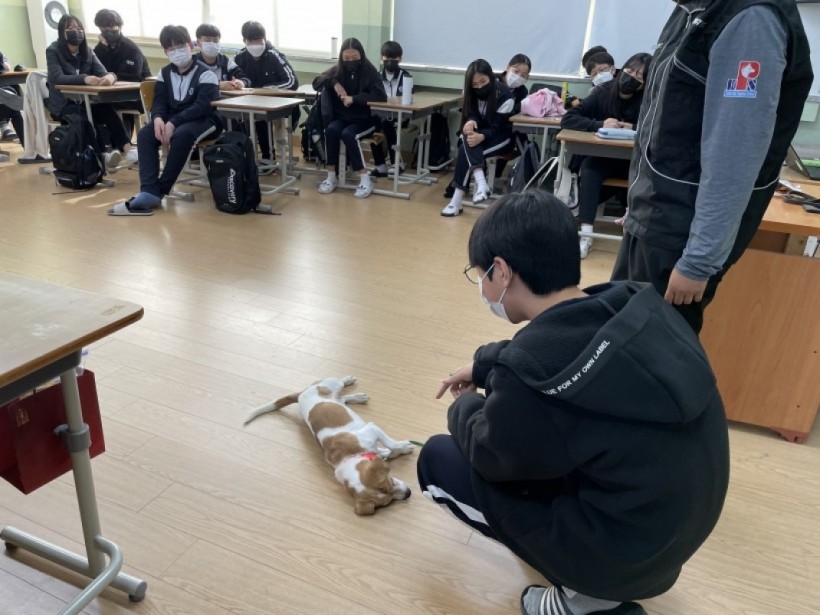 e5658d473582a820a5674071c557a86d_1636349