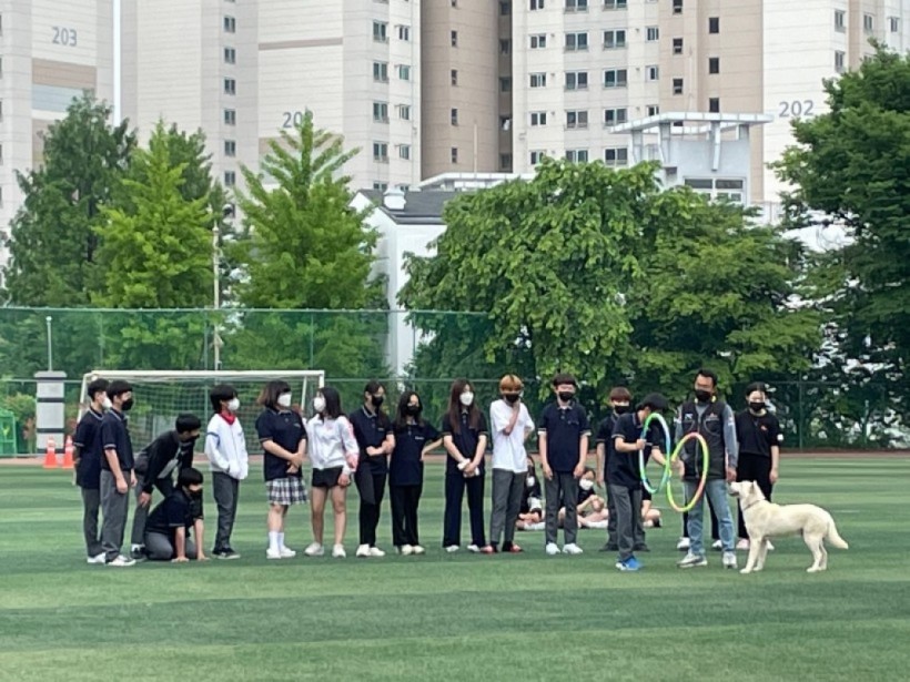 16faed636a5ced4d549cb8768d818778_1655359