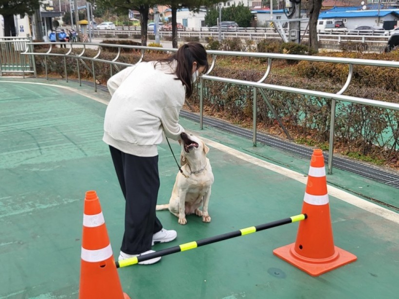 f6352620a2d70bfb3d43f8f2c1fb47ee_1668648