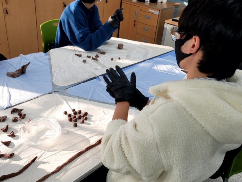 884315a33dbc45c544e6cb31ec99b976_1672903