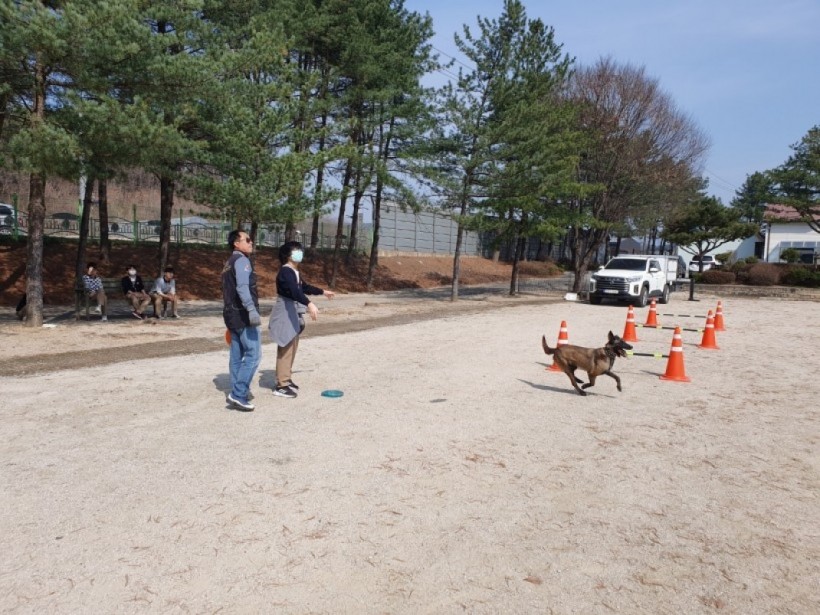 596f5ab8356b2e6e7479245930dc5f96_1680760