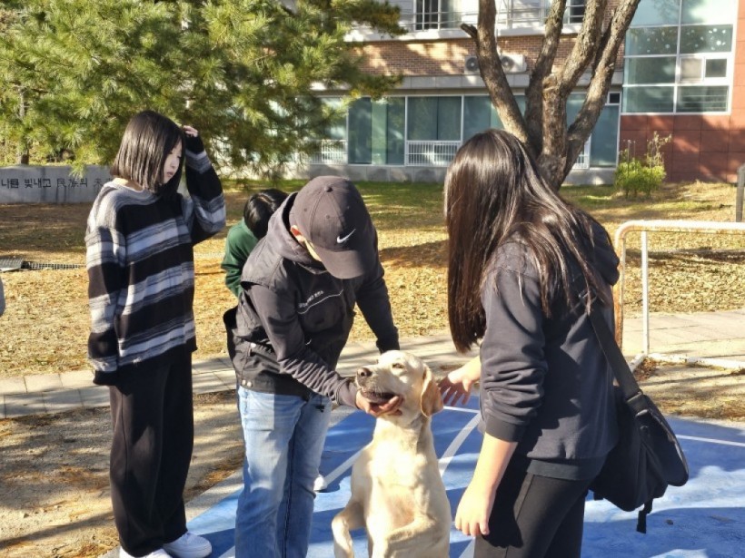 049006260fdf6b2c766b8266a3498f31_1699332